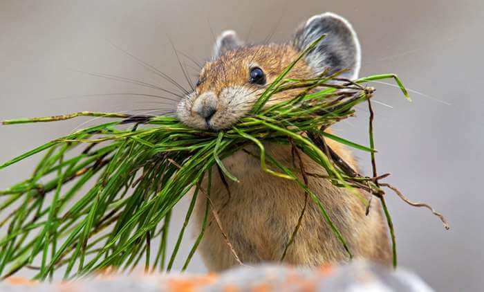 Earth’s Seasonal Secrets