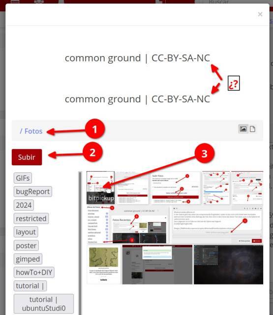 Bildschirmfoto das einen Zwischenschritt beim hochladen von Bildern zeigt.